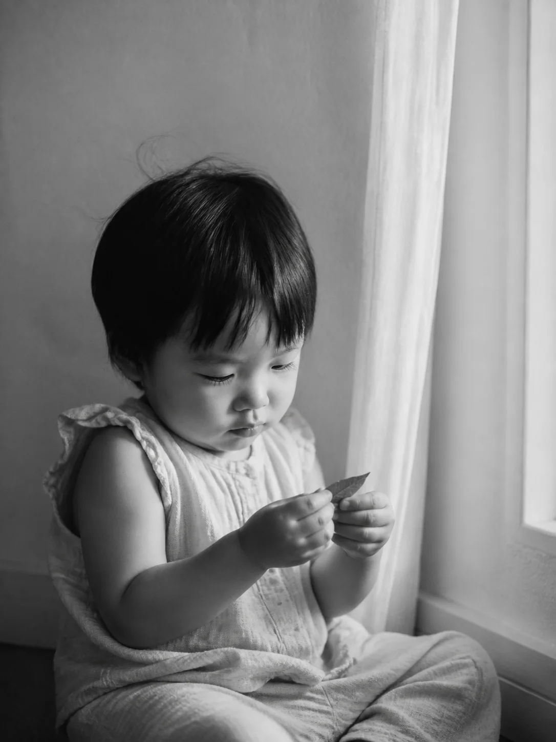 幼儿在窗边观察树叶的黑白成长纪实摄影